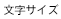 �����T�C�Y