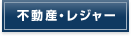 �s���Y�E���W���[