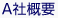 A社概要