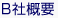 B社概要