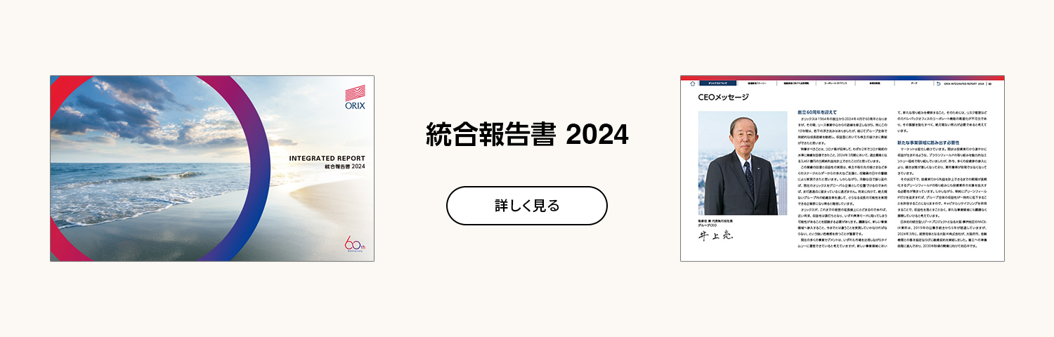 統合報告書
