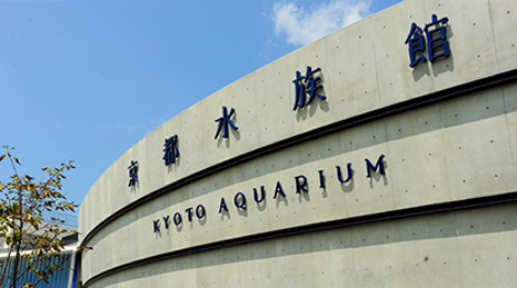 京都水族館