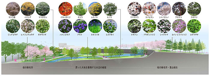 日本らしさ、大阪らしさ、うめきたらしさを感じることができる植栽計画