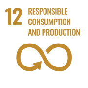 12 Responsible consumption and production