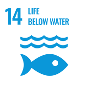 14 Life below water