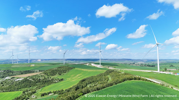 Generating Purpose: How Elawan sets out its Mission, Vision and Values