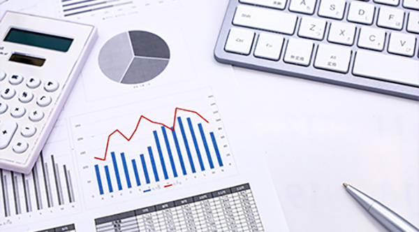 Management Strategy and Business Plan