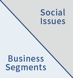 Business Segments/Social Issues