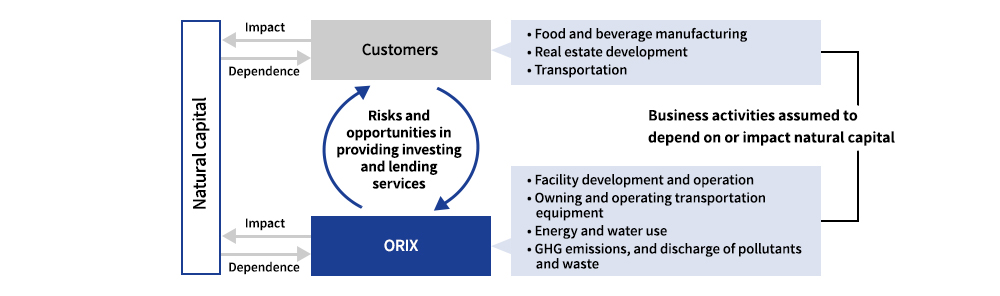 The Relationship between Our Business Activities and Natural Capital