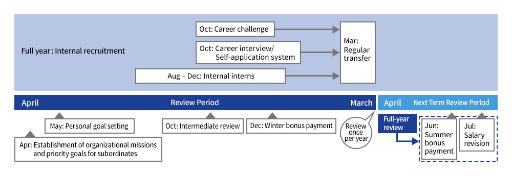 Performance Review and Compensation / Career Support System Cycle
