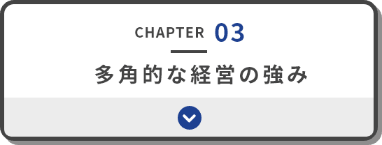 chapter03 多角化経営の強み