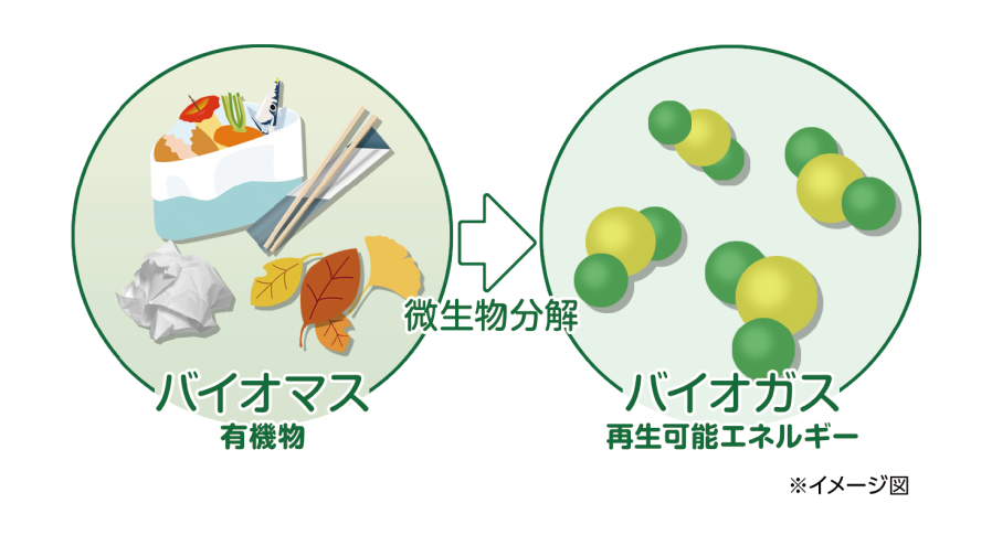 バイオマス（有機物）が微生物分解され、バイオガス（再生可能エネルギー）が生成されるイメージ